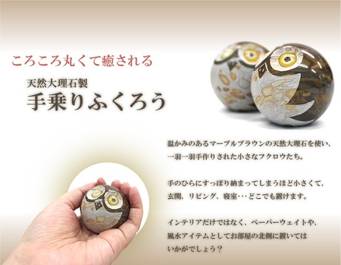 手乗りフクロウ01