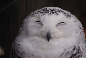 615x412x1d720d8c879b86f3b7f6e1c2