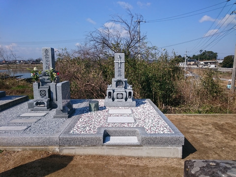 スペイングレー