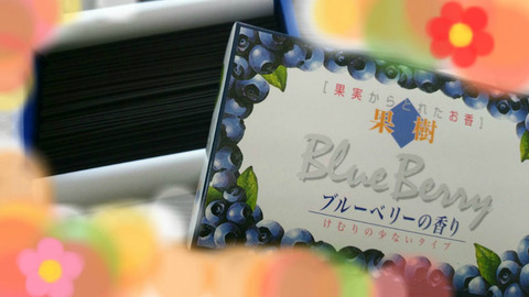 ブルーベリー線香