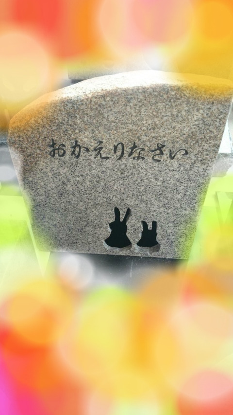 石灯り　うさぎお帰りなさい