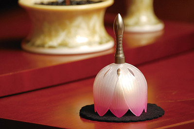 あら、可愛い～