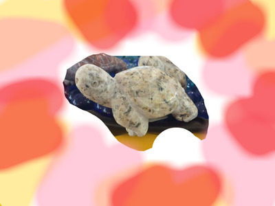 丸亀店の亀さん