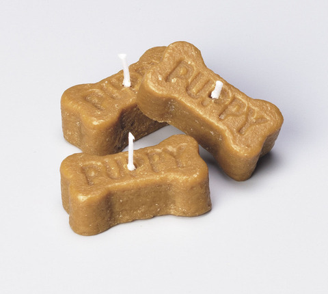 わんちゃんキャンドル