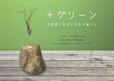 エアープランツスタンド