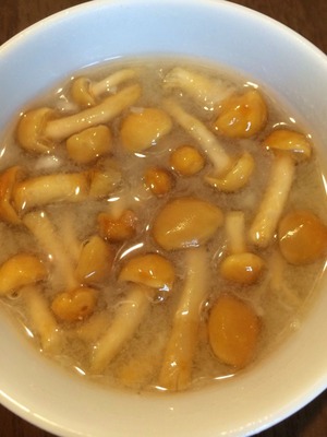 60382900ebab733db2a95d9194833fbe