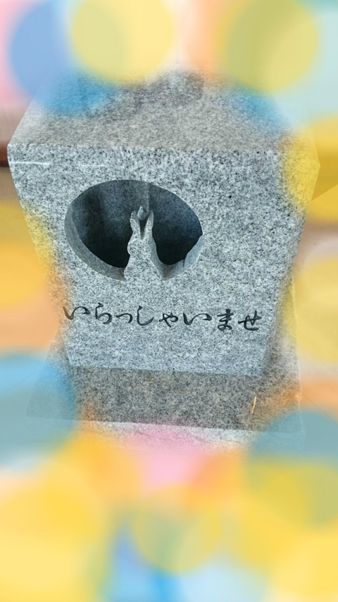 いらっしゃいませ