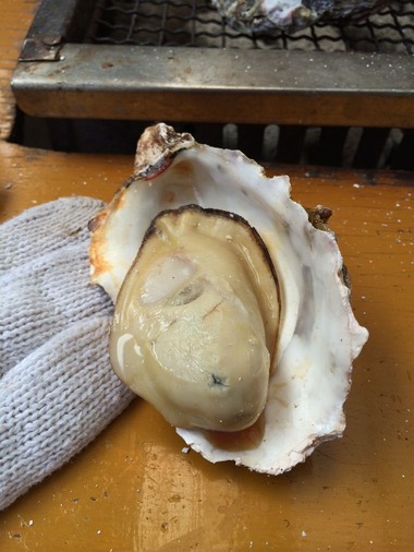 牡蠣　ぷるぷる