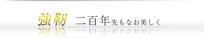 強靭 二百年先もなお美しく