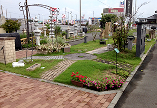 ロックガーデン