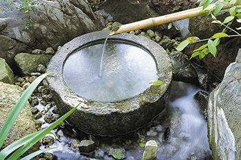 石をつたう水が清涼感を与える水鉢