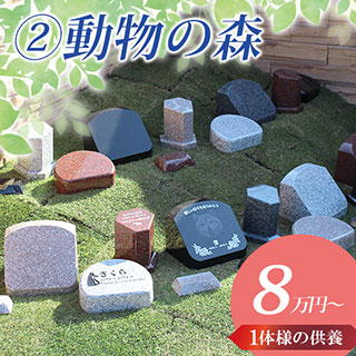 動物の森
