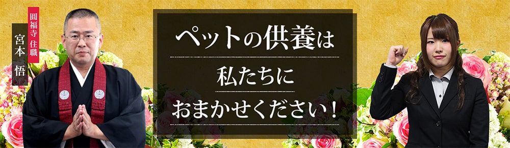 ペットの供養は私たちにおまかせください！