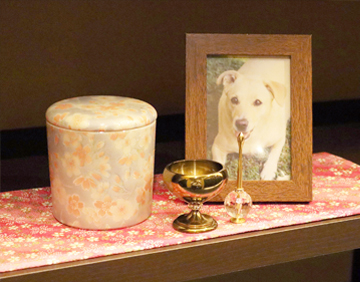 骨壺供養セット